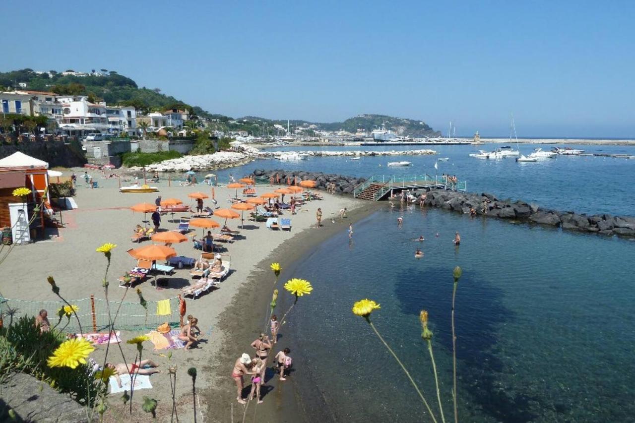 La Terrazza Dell^Ippocampo #Seaview Apartment Ischia Eksteriør bilde
