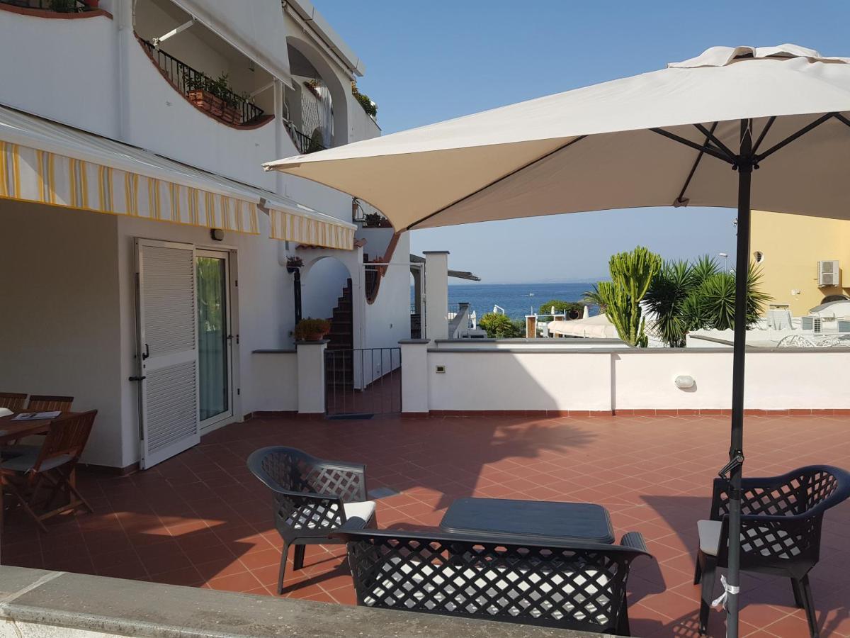 La Terrazza Dell^Ippocampo #Seaview Apartment Ischia Eksteriør bilde