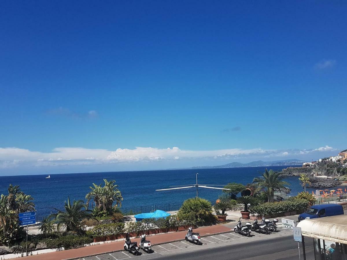 La Terrazza Dell^Ippocampo #Seaview Apartment Ischia Eksteriør bilde