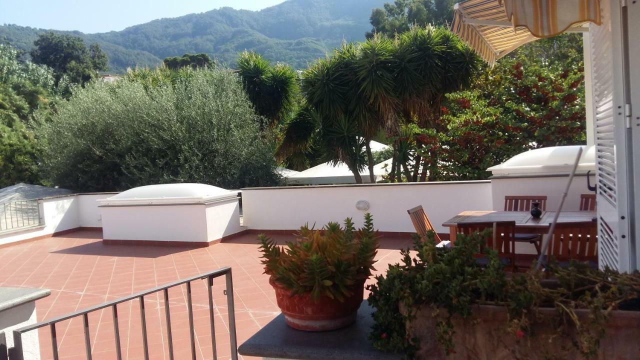 La Terrazza Dell^Ippocampo #Seaview Apartment Ischia Eksteriør bilde